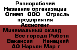 Разнорабочий › Название организации ­ Олимп, ООО › Отрасль предприятия ­ Ассистент › Минимальный оклад ­ 25 000 - Все города Работа » Вакансии   . Ненецкий АО,Нарьян-Мар г.